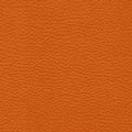 Оранжевый Родес 0455